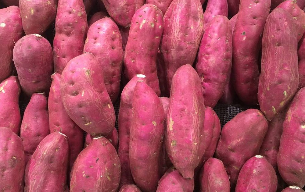 La Boutique De L'Image Primaire